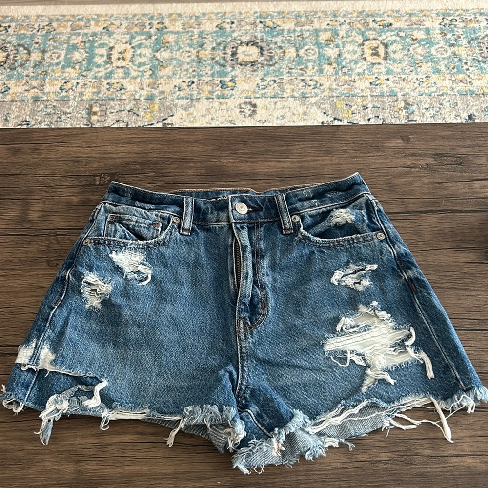 Size 2 Mom Short American Eagle